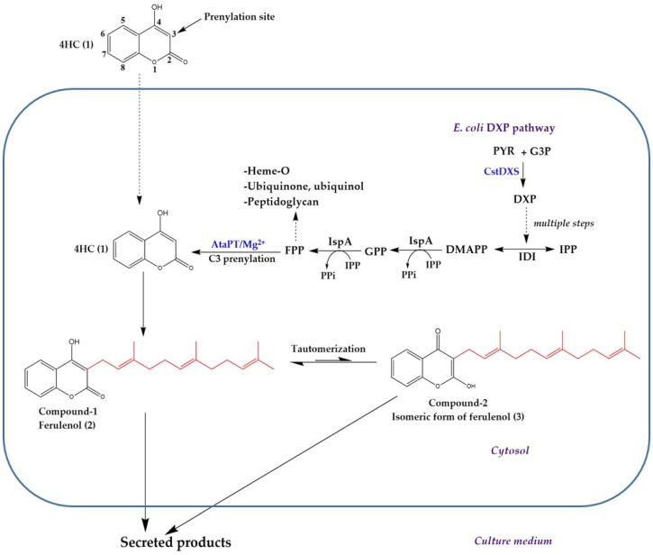 Figure 1