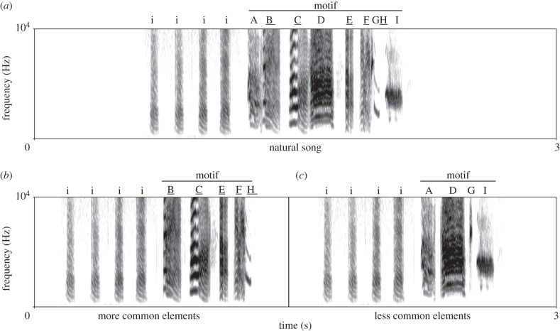 Figure 1.