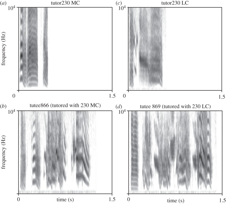 Figure 4.