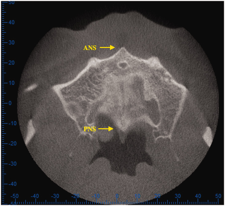 Figure 1.