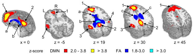 Fig. 6