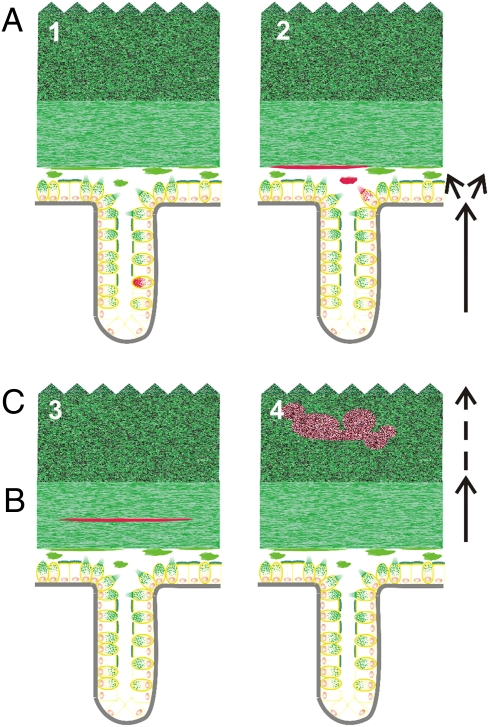 Fig. 6.