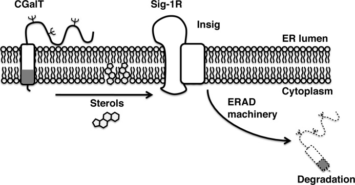 FIGURE 9.