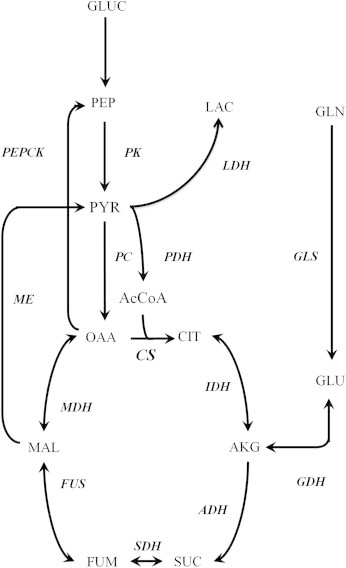 Figure 5