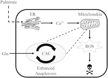 Figure 7