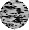 144-3