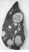 144-7