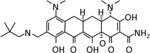 FIG 1