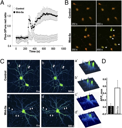 Fig. 4.