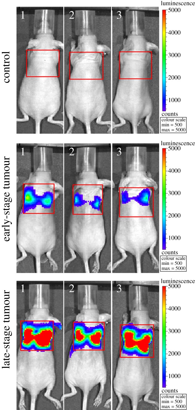 Figure 2.