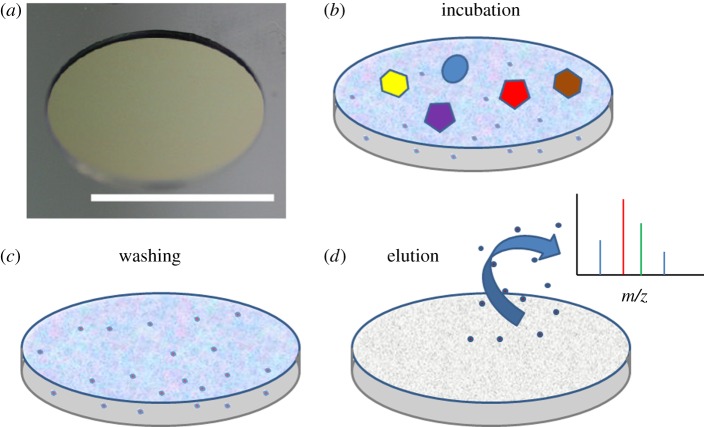 Figure 3.