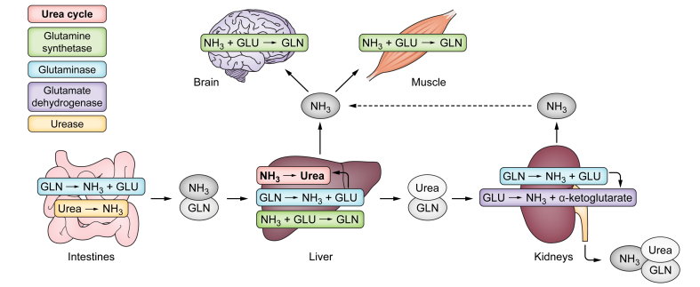 Fig. 3