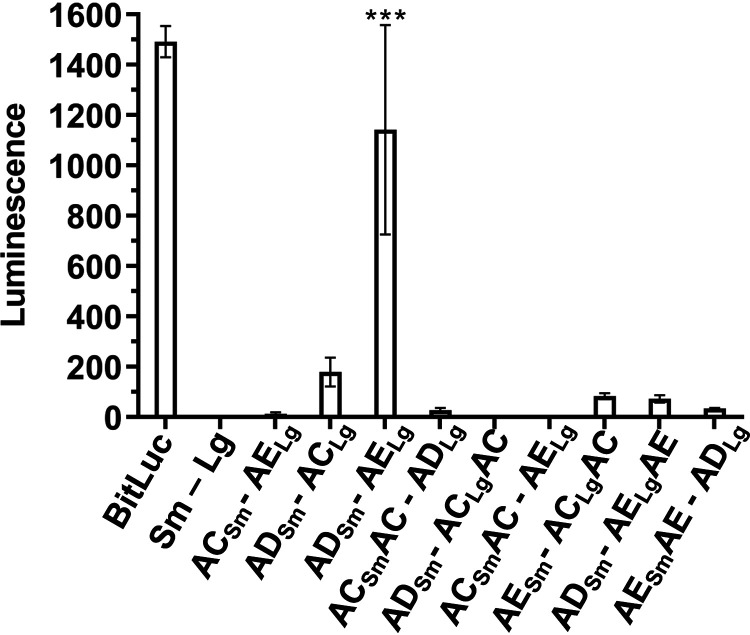 FIG 6