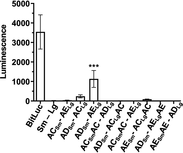 FIG 5