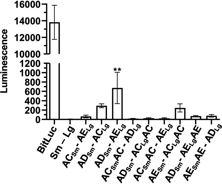 FIG 4