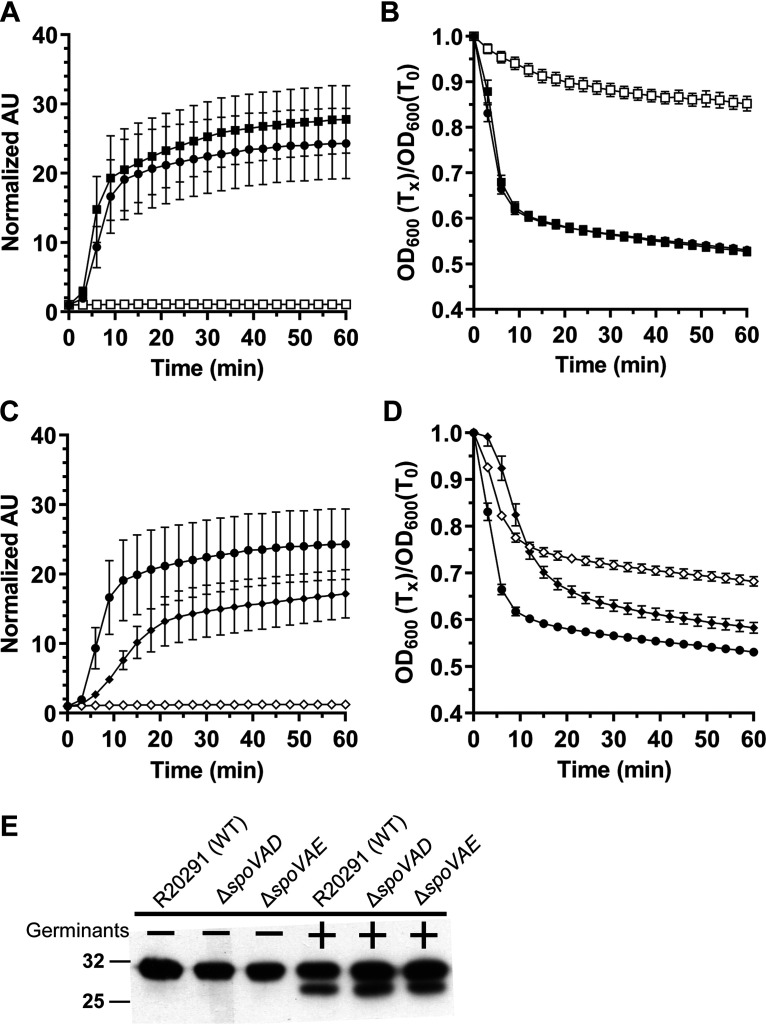 FIG 2