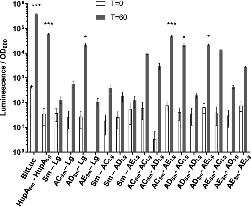 FIG 3