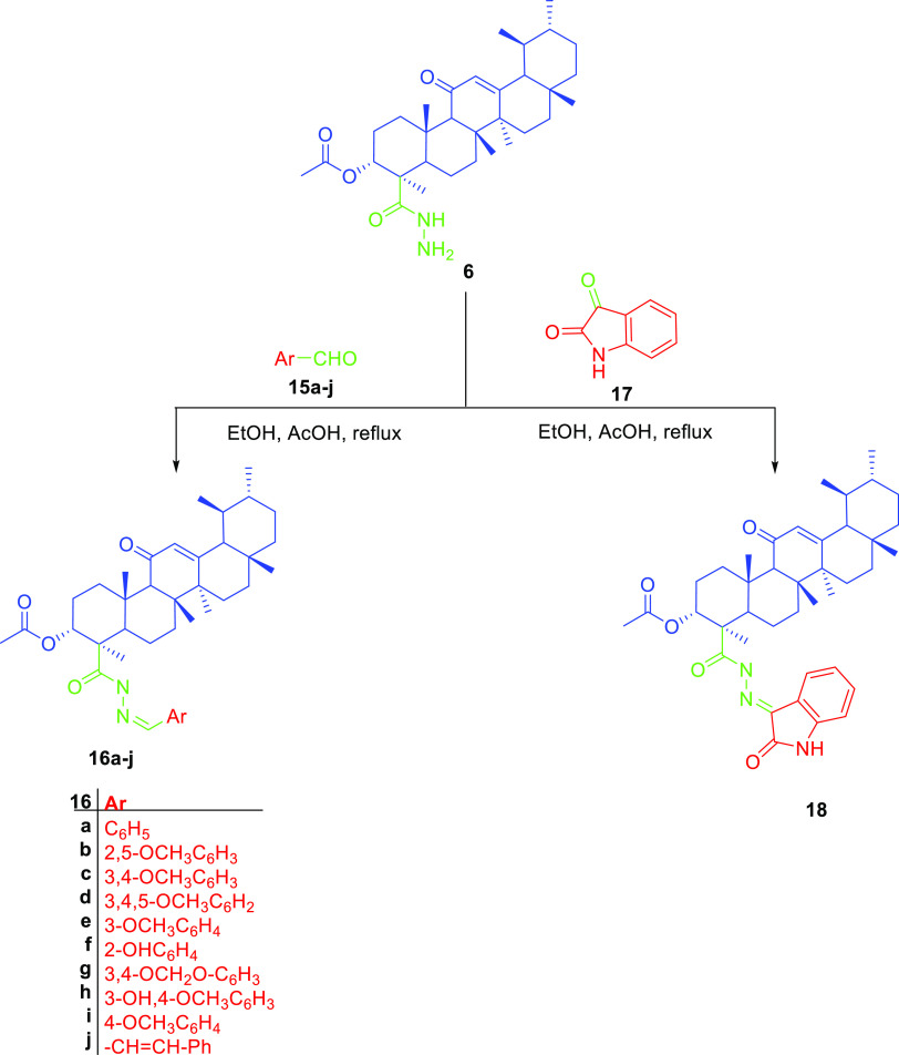 Scheme 5