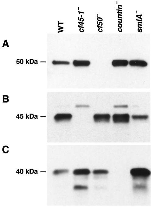 FIG. 5.