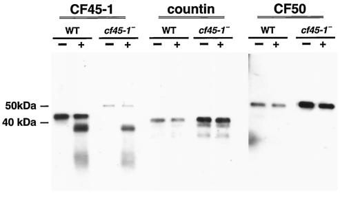 FIG. 9.