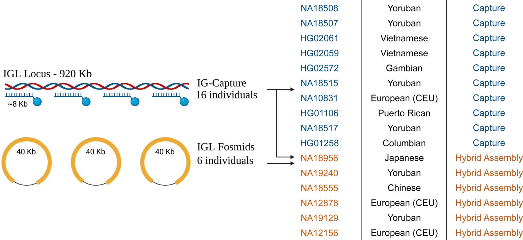 Fig 1.