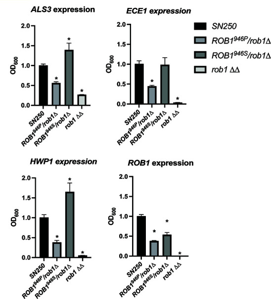 Fig 6