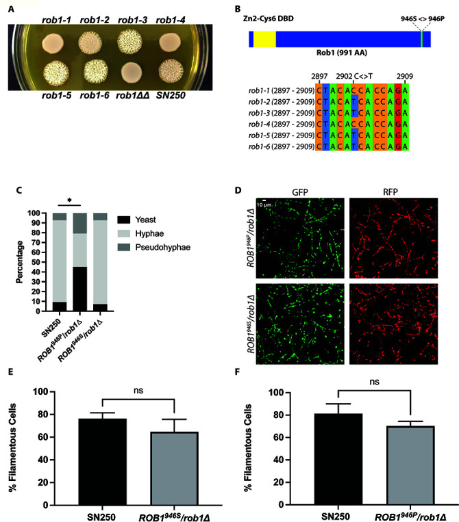 Fig 4