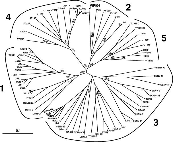 FIG. 2.