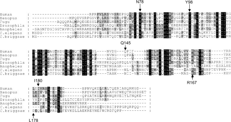 Figure 3.