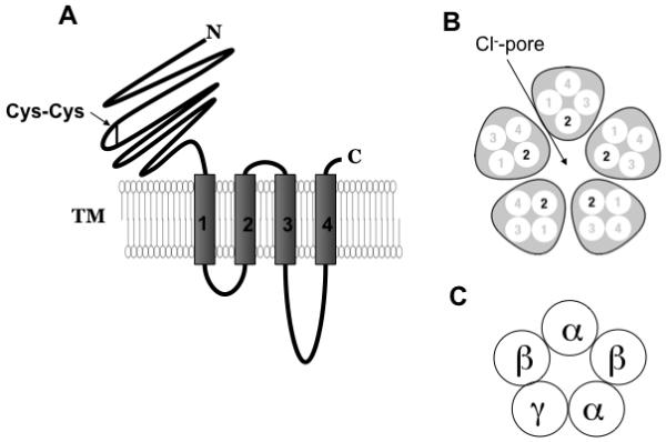 Fig.2