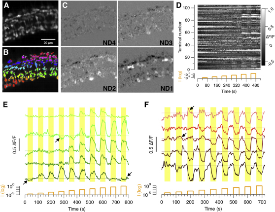 Figure 2