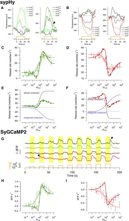 Figure 6