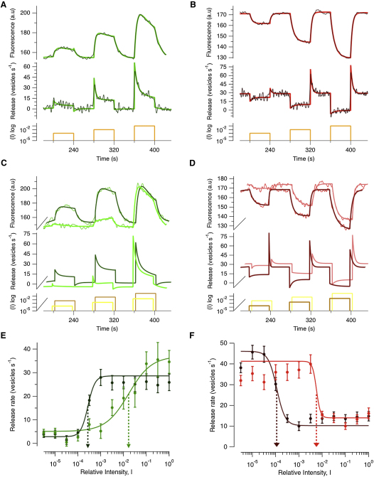 Figure 4