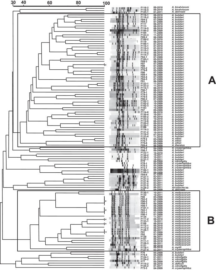 FIG 2