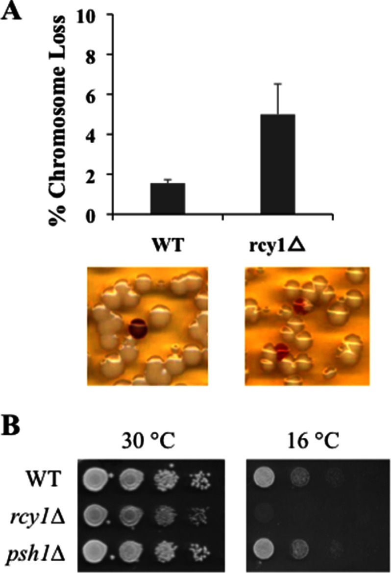 FIGURE 6.