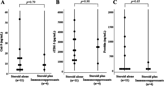 Fig. 12