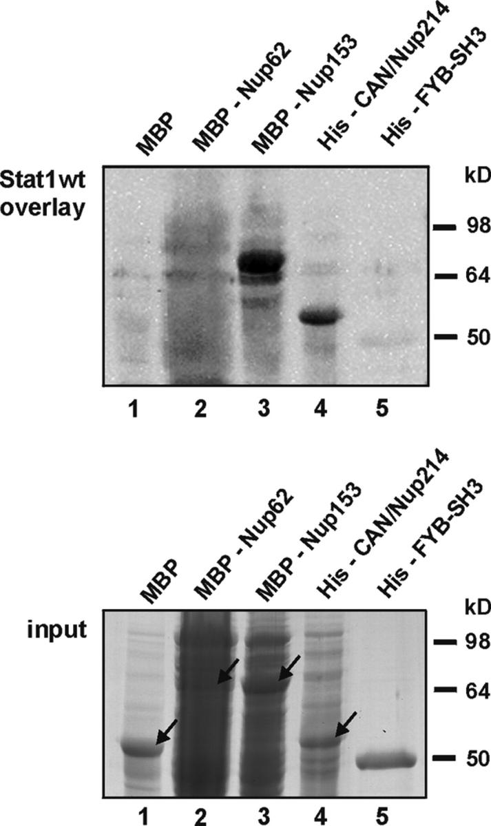 Figure 7.