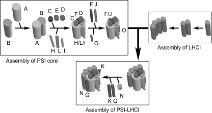 FIGURE 7.