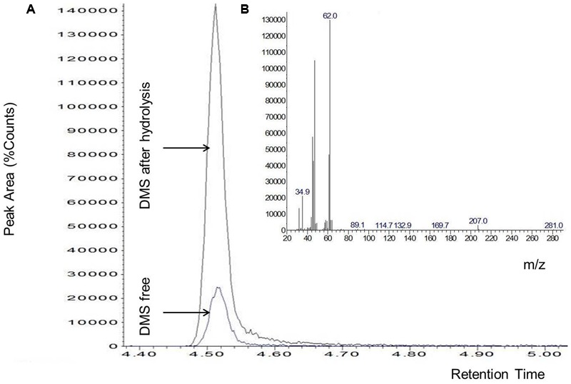 FIGURE 3