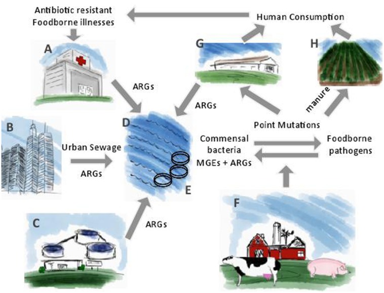 FIGURE 2