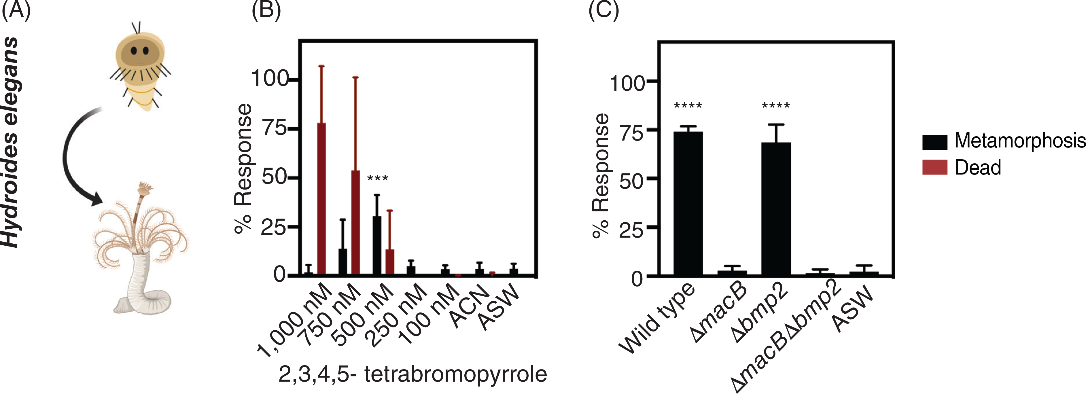 Fig 4.