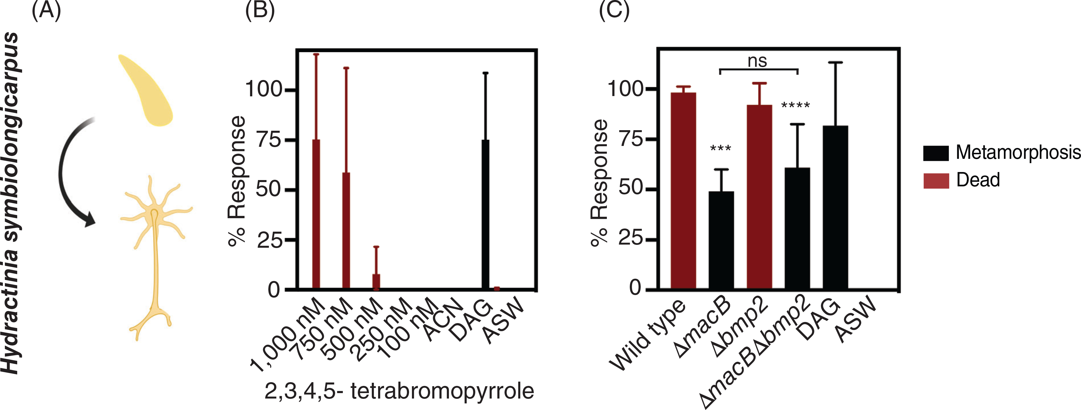 Fig 3.