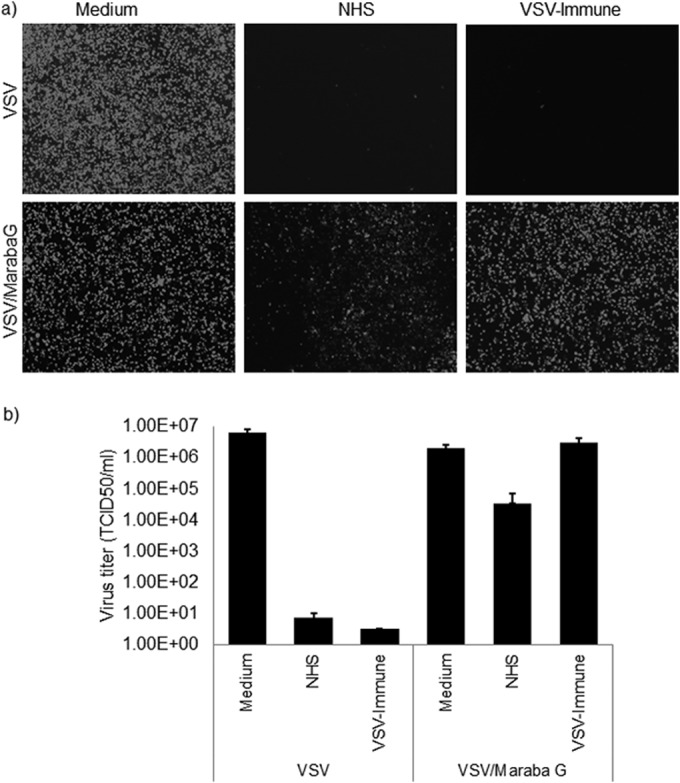 FIG 6