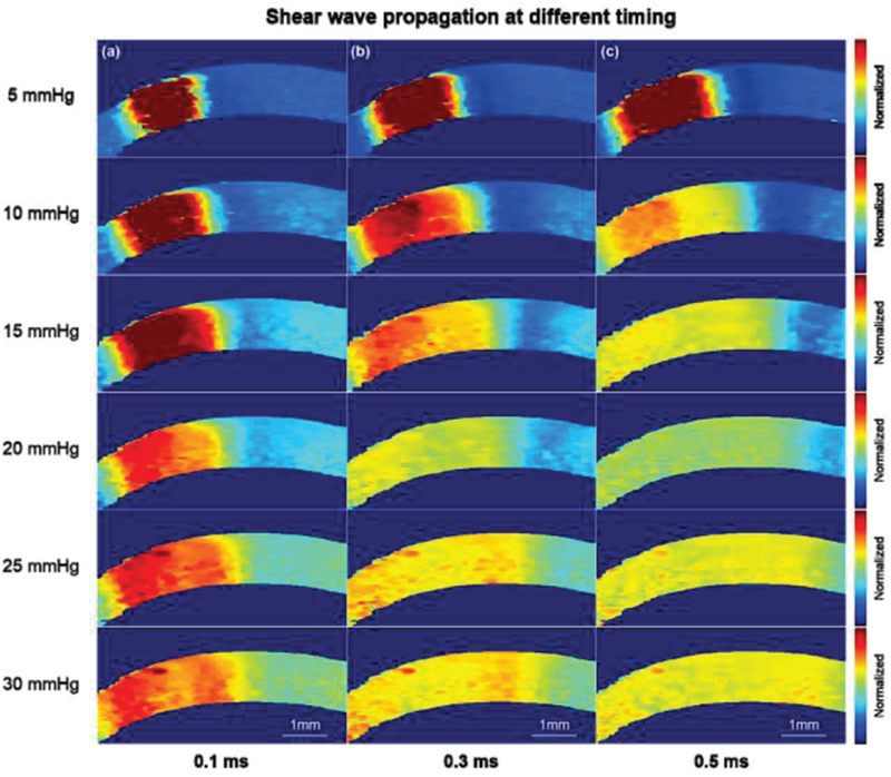 Fig. 6