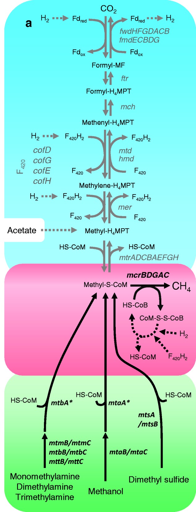 Fig. 1.—