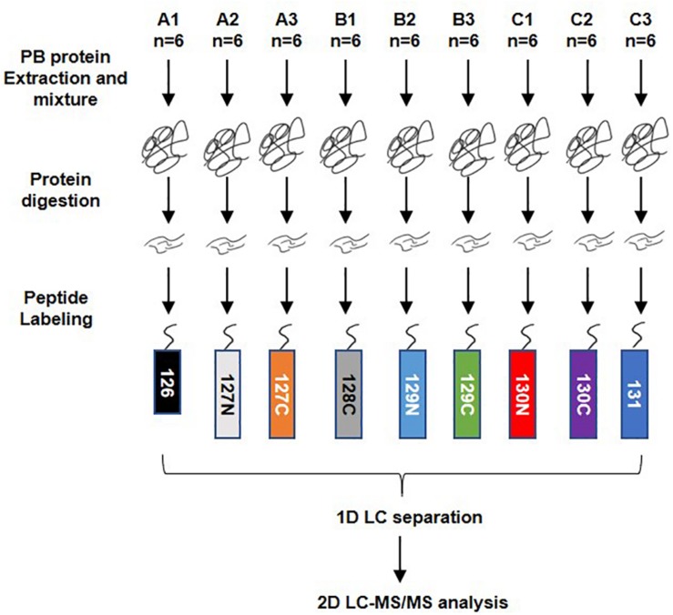 FIGURE 1