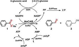 Scheme 1