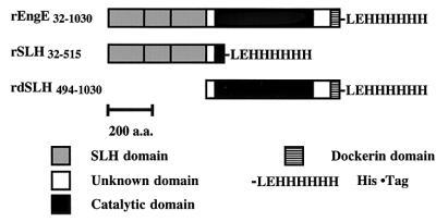 FIG.2.