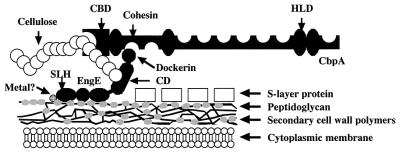 FIG. 5.