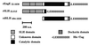 FIG.2.